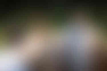 Braut und Bräutigam, davor Menschen