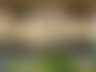 March 2021 Company Newsletter