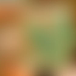 Discovering the Art of Sgraffito: Uncovering Beauty Beneath the Surface