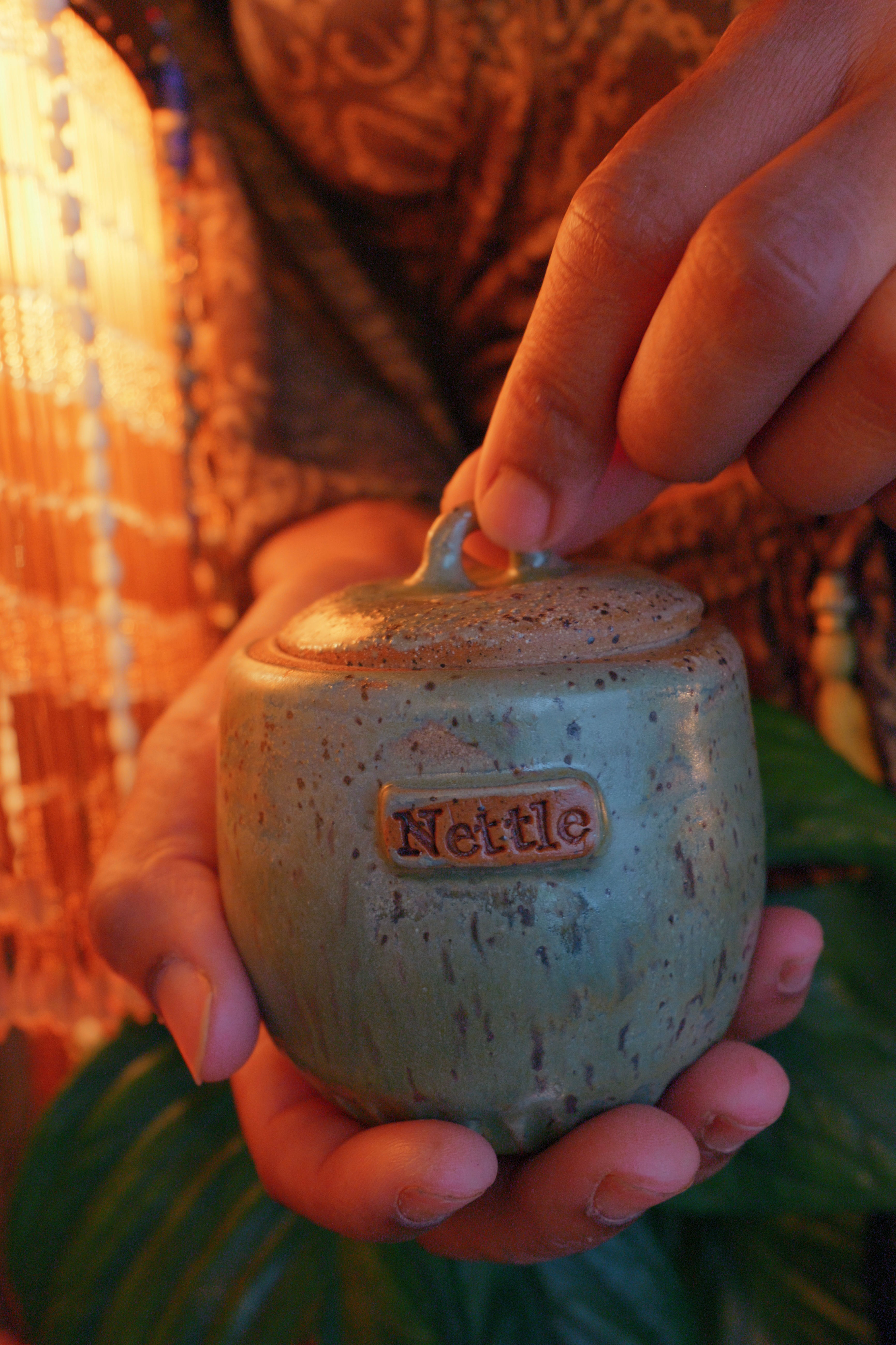 Nettle Spice Jar 