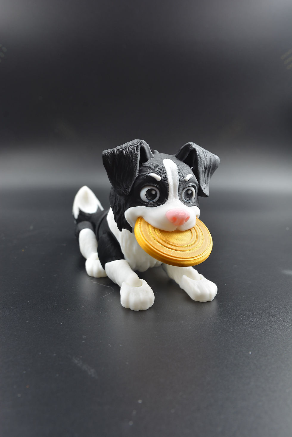 Thumbnail: Border Collie Multi Color Flexi | The Good Boy Collection