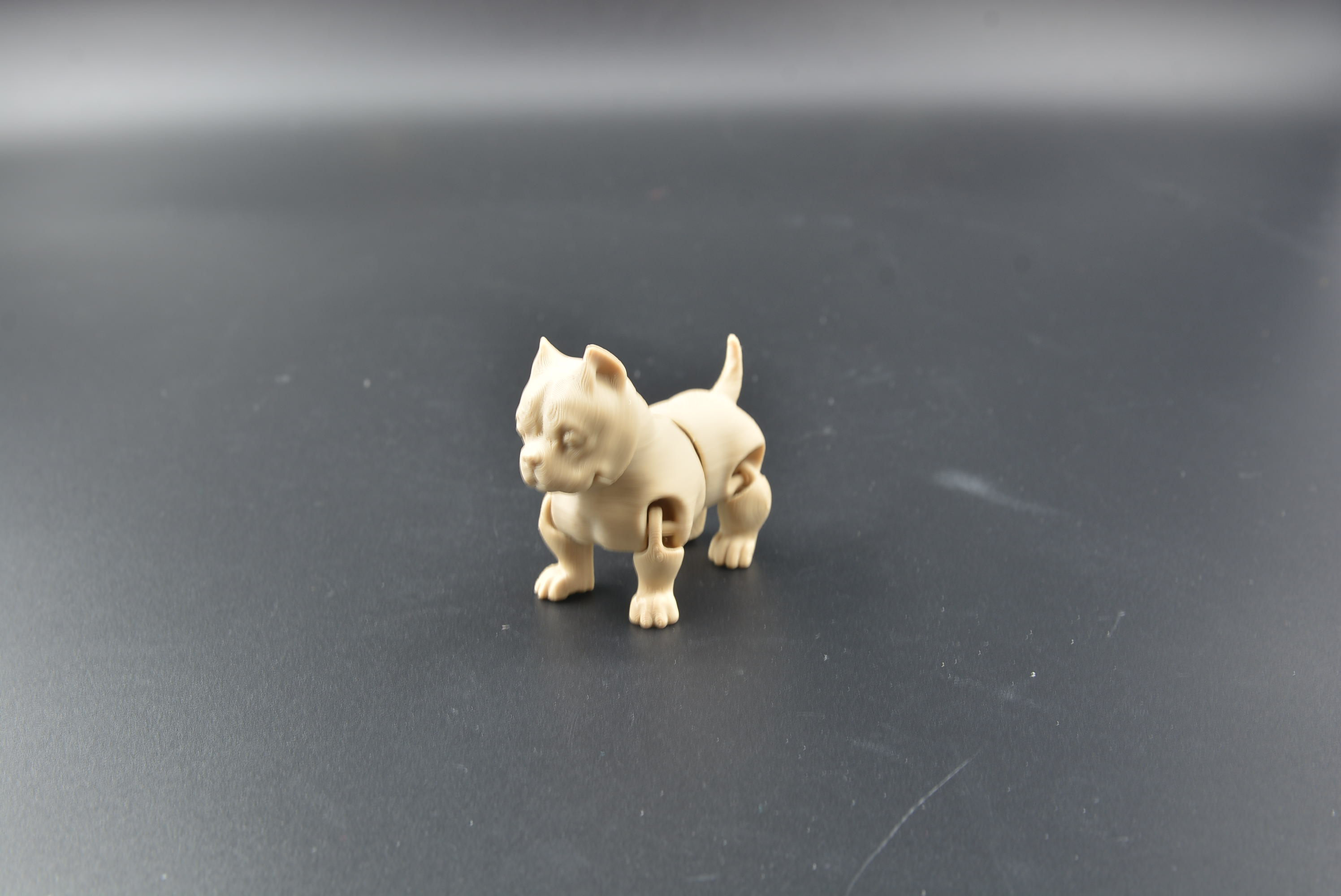 American Bully flexi figure with articulated wiggly movement and eyes open expression