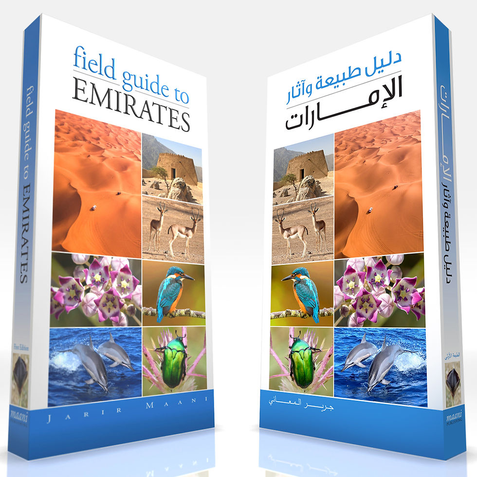 الصورة المصغرة: دليل طبيعة وآثار الإمارات