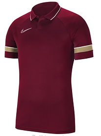 Nike Mens Polo.png