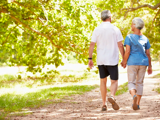The Physical and Mental Benefits of Daily Walking