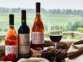 Tips for Your First Wine-Tasting Experience