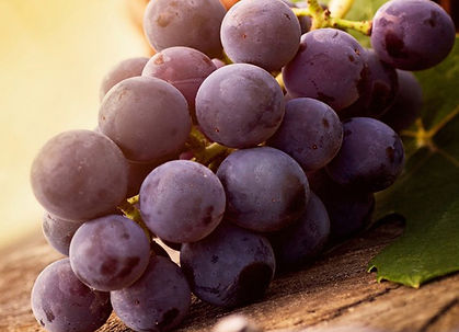 understanding-the-classic-grapes.jpeg