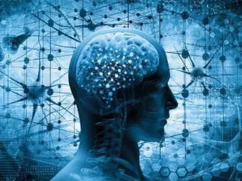 Best Natural Nootropics for Beginners 2025: Safe Brain Supplements for Focus & Memory