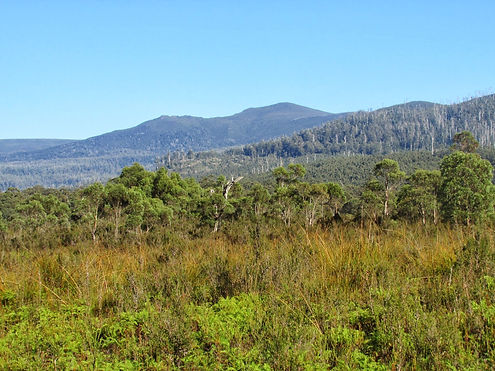 Esperance Plains.JPG