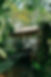 1B9A9562.JPG