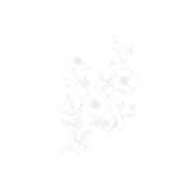 Flower Branch _edited.png