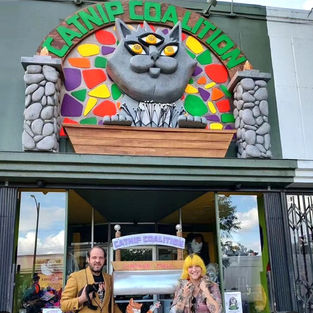 Storefront of Catnip Coalition antiques and cat themed vintage treasures in Burbank