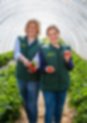 Spargelhof Strampe Anna und Dagmar Strampe