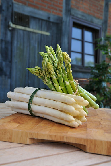 Spargelhof Strampe Spargel