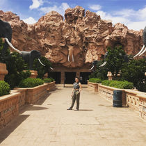 Johannesburg & Sun City, South Africa