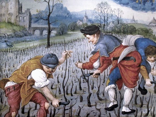 PRUNING IN MARCH