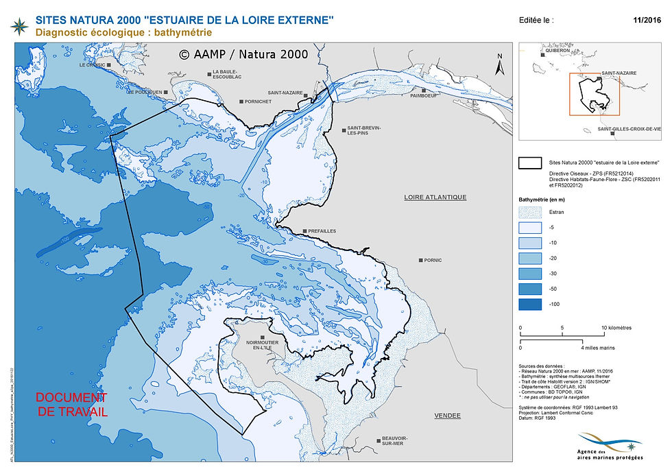 Carte AAMP / Natura 2000 Estuaire