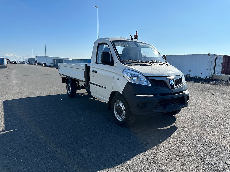 Thumbnail: PIAGGIO PORTER PRO FIXED DECK SW SR LPG Pallbíll (L3)