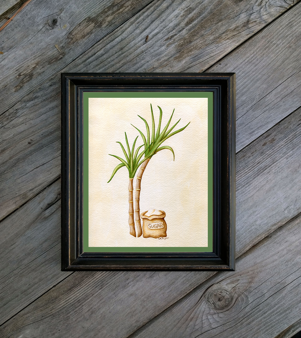 Rum Sugarcane Art Print - Vintage Inspired Botanical Illustration