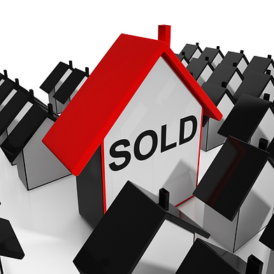 Blue Door Properties (30).png