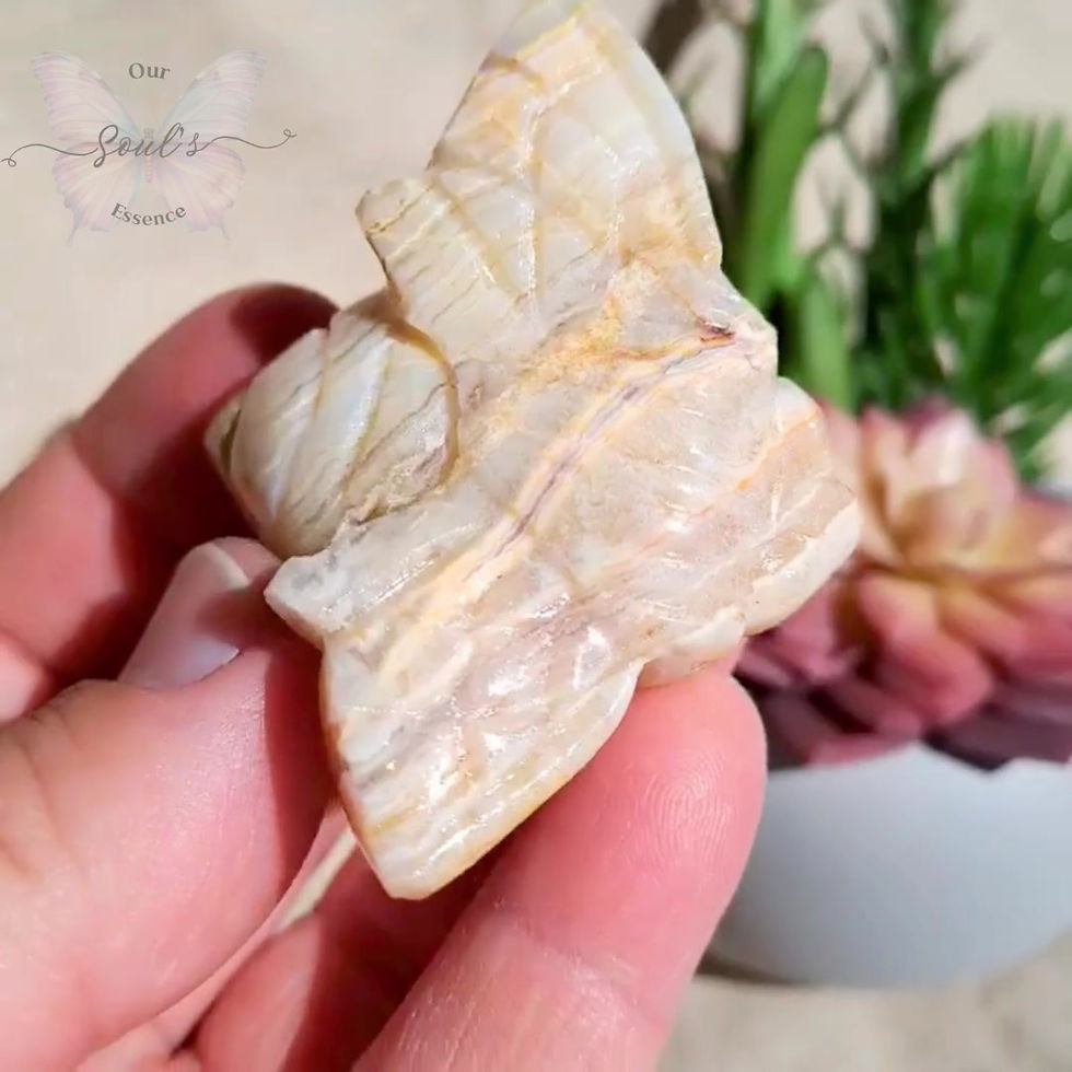 Thumbnail: Golden Lace Agate Bee # 2