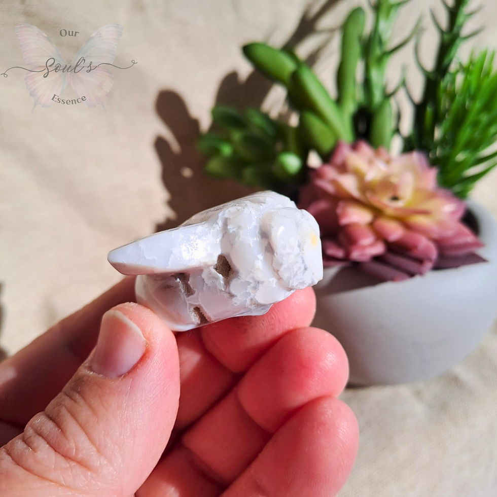 Thumbnail: White Plume Agate Bee # 4