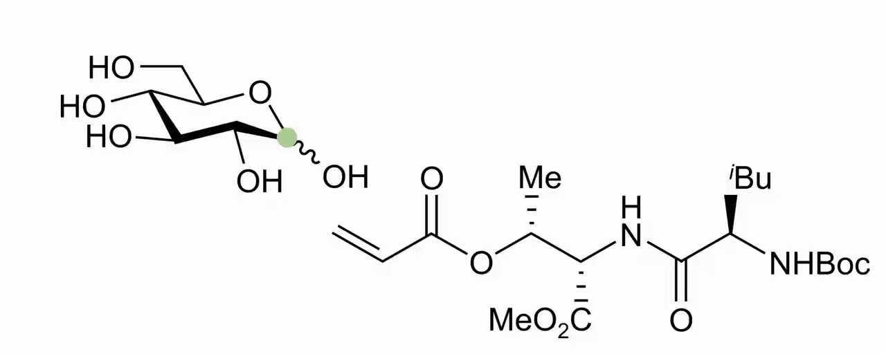 PG-free radical glycosylation.gif