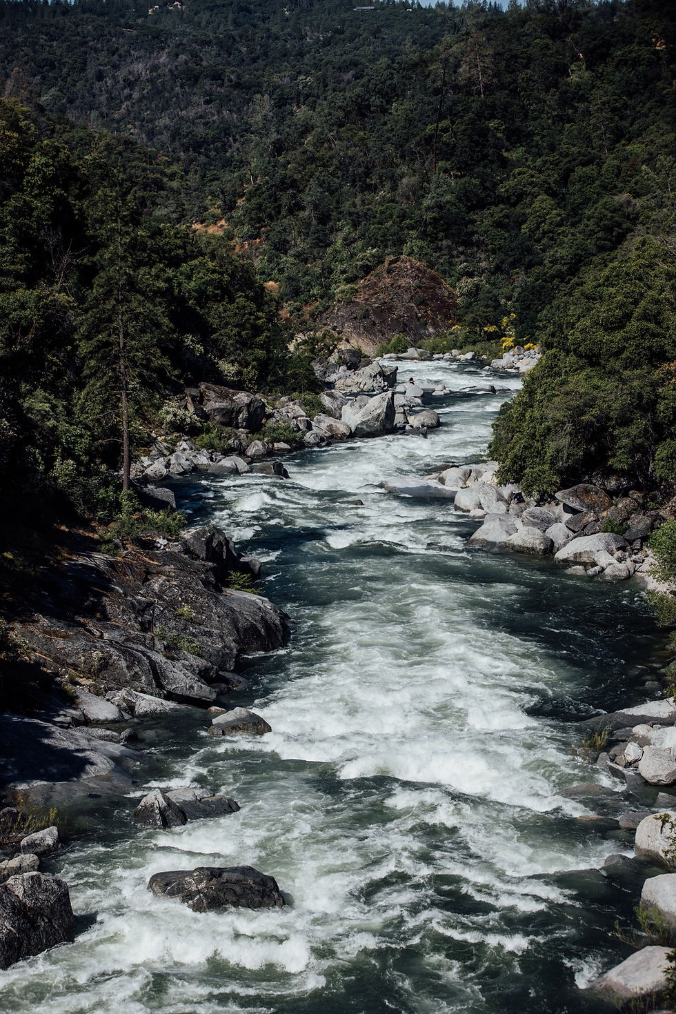 Designing with Constraints