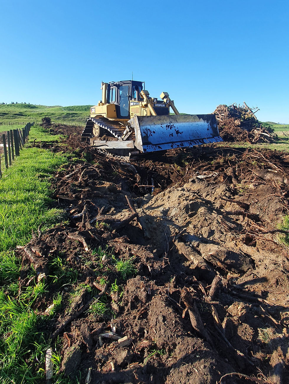 Cat D6R Stump Removal