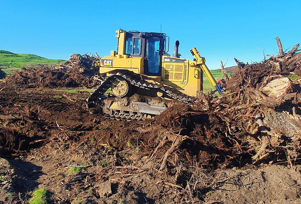 Cat D6R Stump Removal