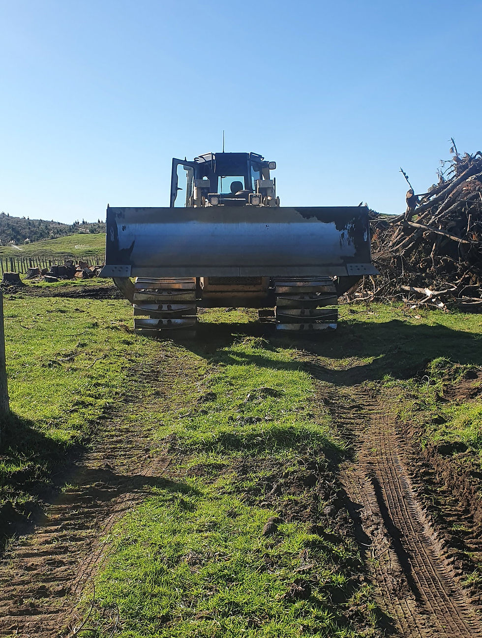 Cat D6R Stump Removal