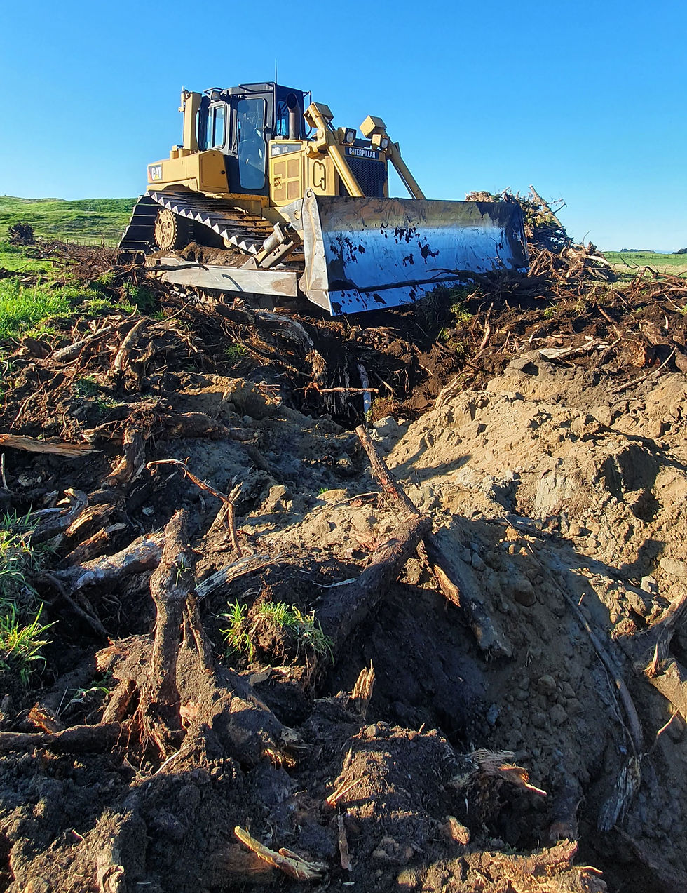 Cat D6R Stump Removal