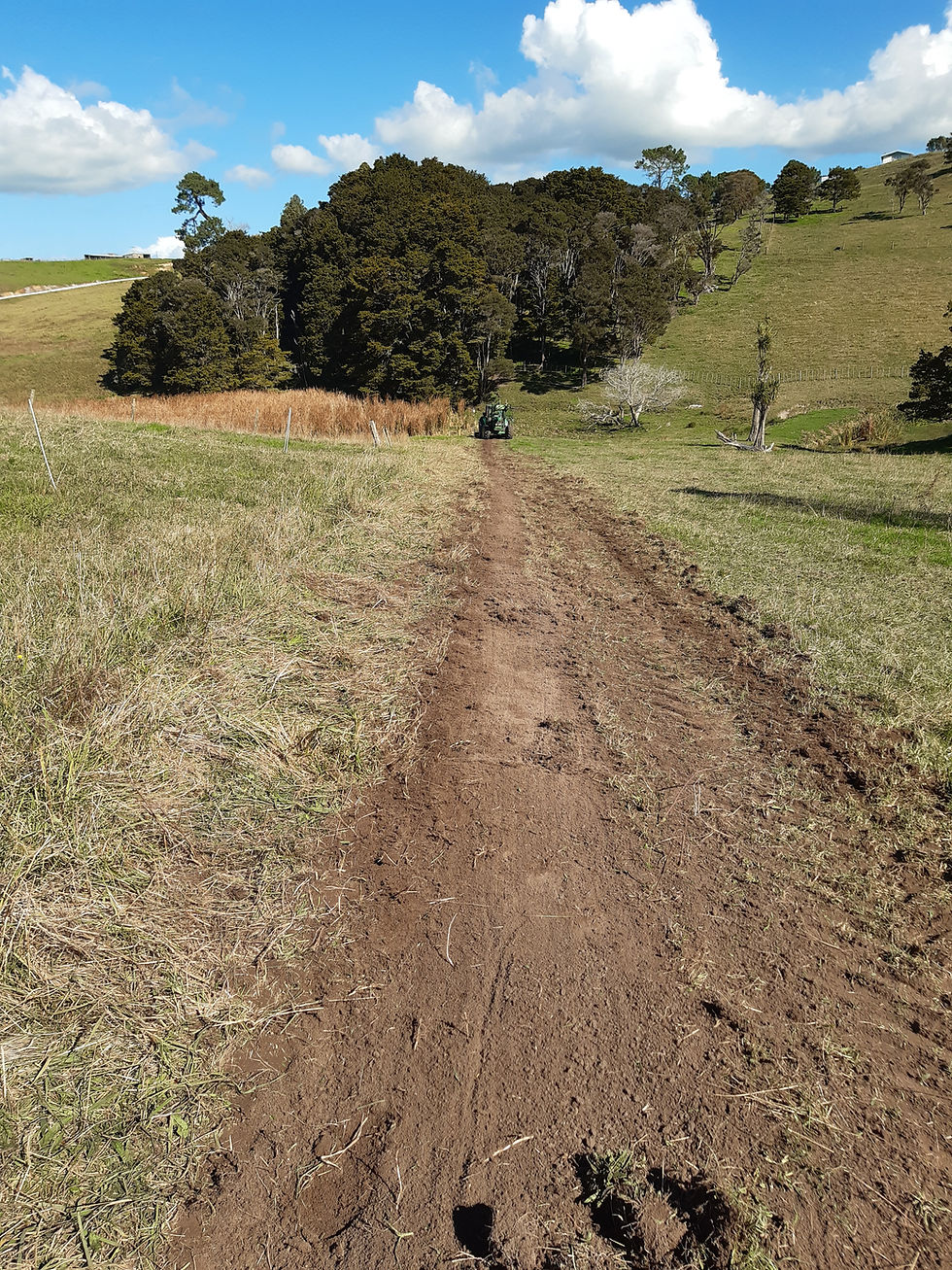 Line Clearing