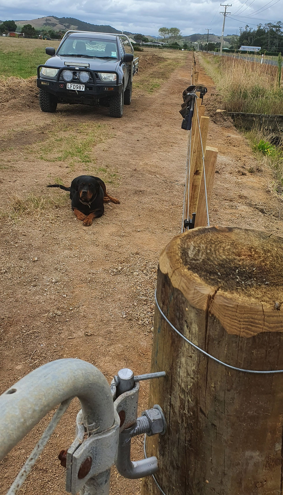 Boundary Fence