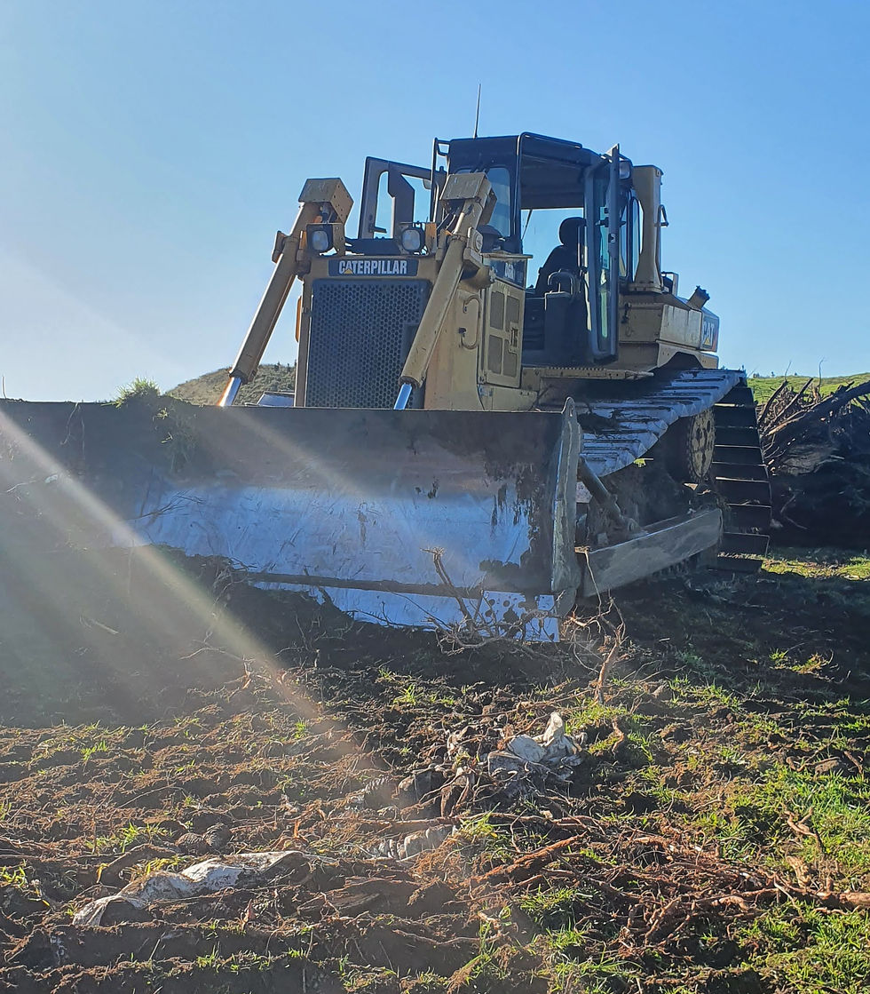 Cat D6R Stump Removal