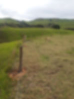 Half Round 2 Wire Electric