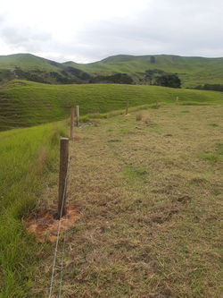 New Fence Line