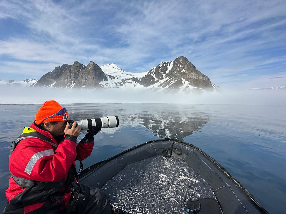 從甲板眺望北極生命:認識冷岸群島夏季郵輪常見動物