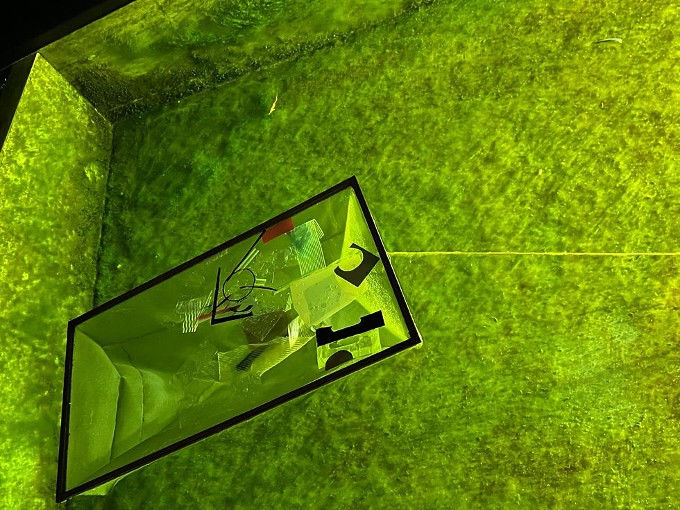 9894fa3b-df2e-4c97-9793-210bb8d25464_edited.jpg