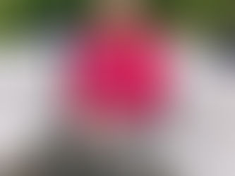 Why Mortgage Brokers Outshine Traditional Banks