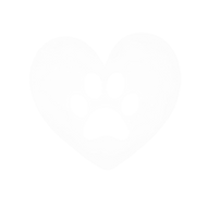 logo_sense_lletres-removebg-preview_edit