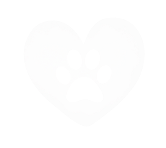 logo_sense_lletres-removebg-preview_edit