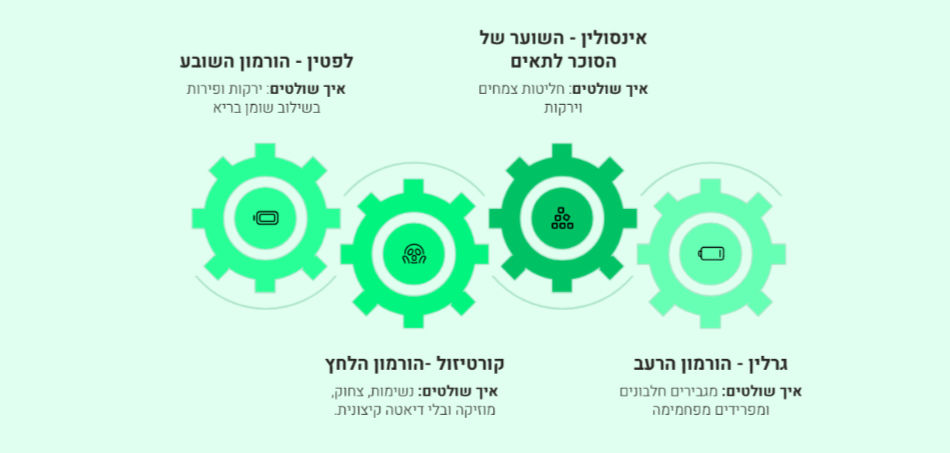 כיצד לשלוט בהורמונים החשובים