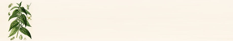 תמונה של סרפד - דרך מצויין ומומלצת לטיפול בנשירת שיער באופן טבעי