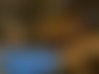 Say Neigh to Crime: How Horses Broke Through Where Policing Couldn’t