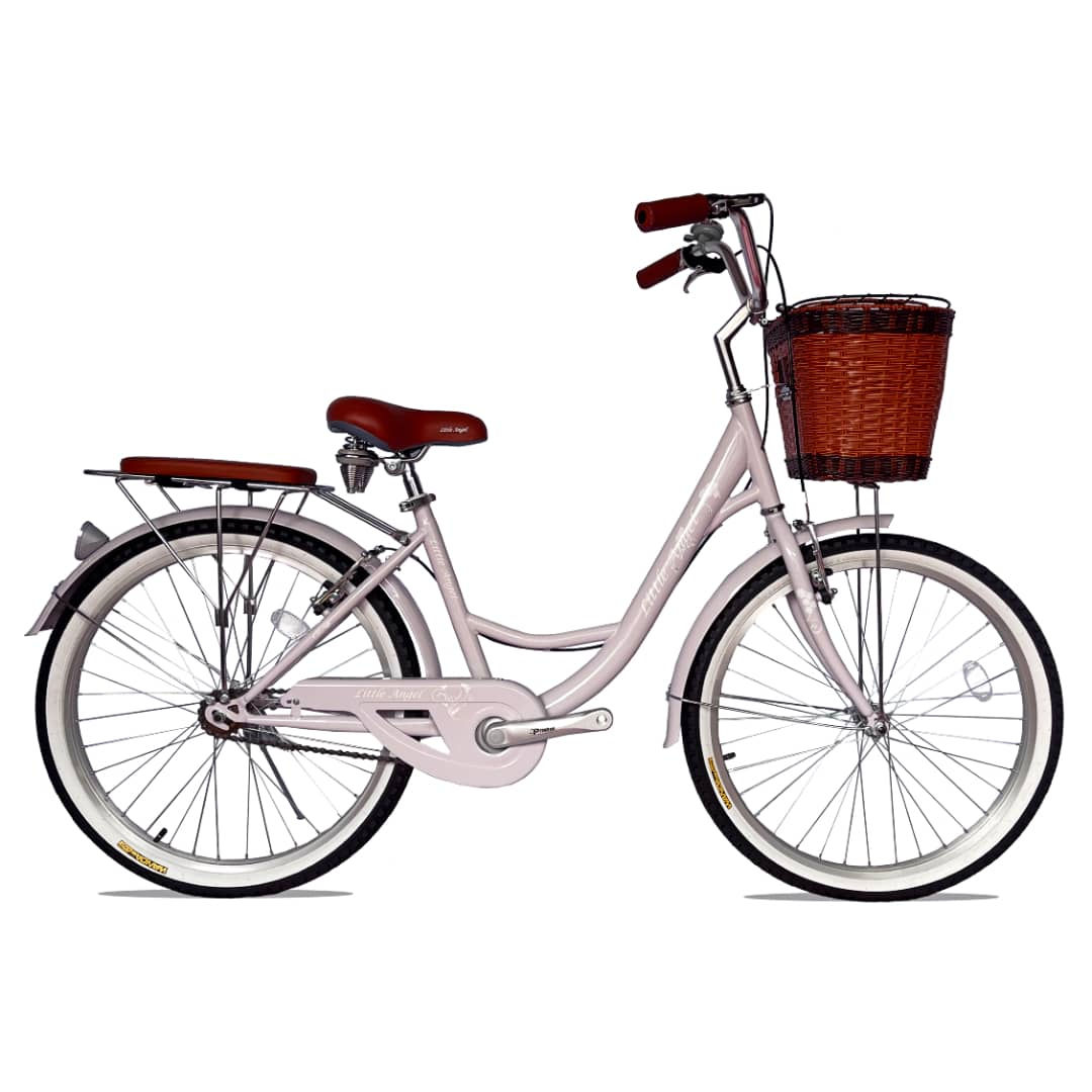 Bicicleta Destiny Bike  Aro 24 De Mujer