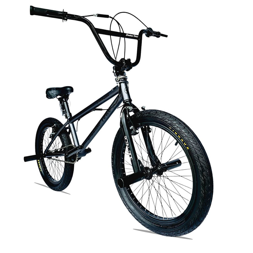 Miniatura: FREESTYLE-BICICLETA