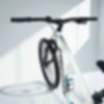 Miniatura: Bicicleta Firefox Raptor Pro 29er MTB
