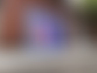 華山－雜學校普列斯製造