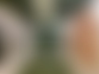 高雄駁二－為教育做設計